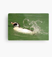 Look I can Swim !!! Metal Print