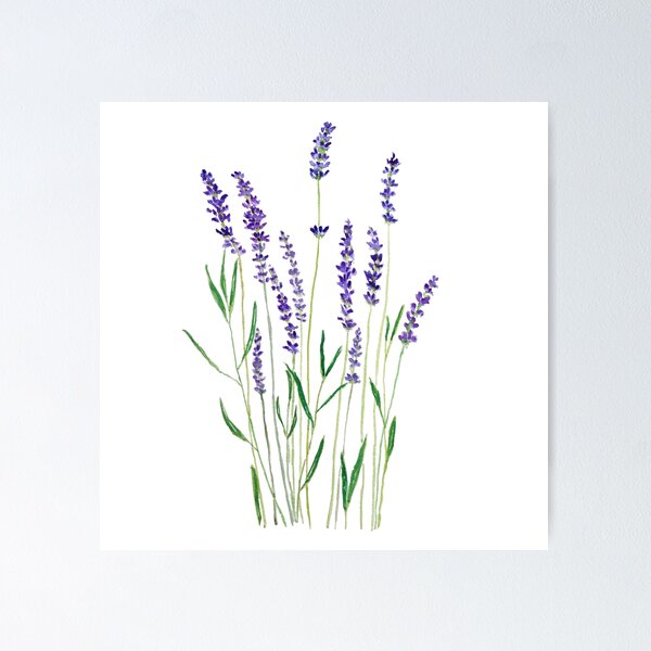 Aperçu de l'œuvre lavande violette peinte à la main  créée et vendue par ColorandColor.