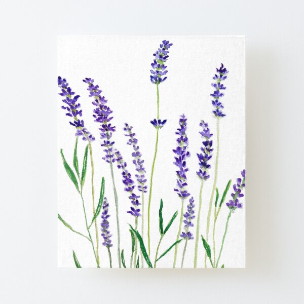 purple lavender Canvas Mounted Print