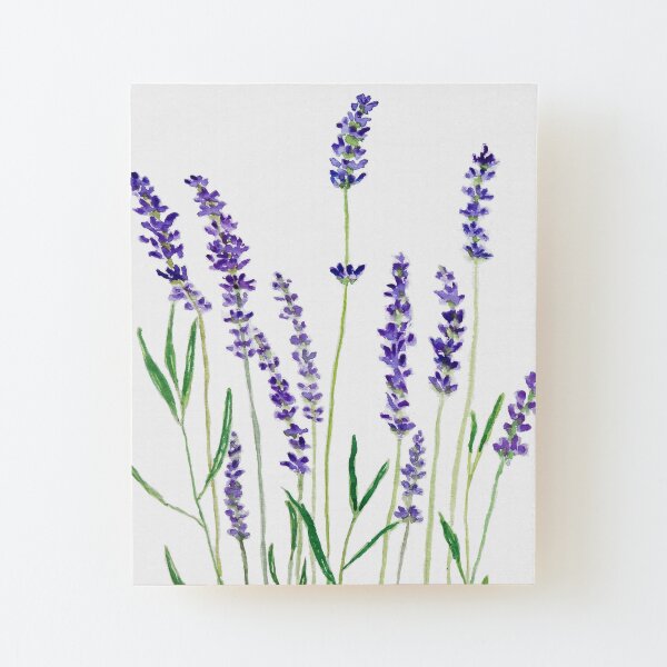 purple lavender Wood Mounted Print