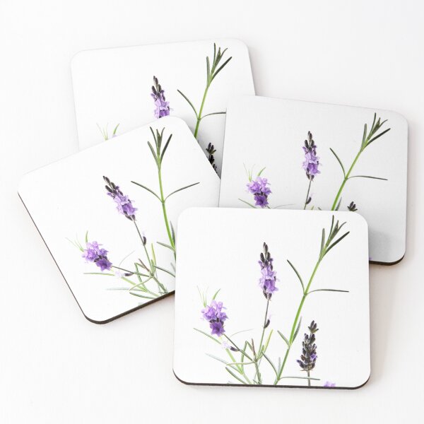 Item preview, Close-Up Of Lavender Flower Against White Background designed and sold by nenovimages.