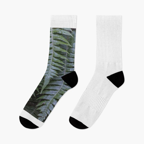 Item preview, New Zealand fern designed and sold by Curious-Camera.