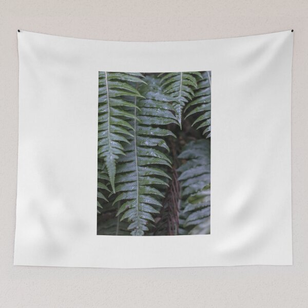Item preview, New Zealand fern designed and sold by Curious-Camera.