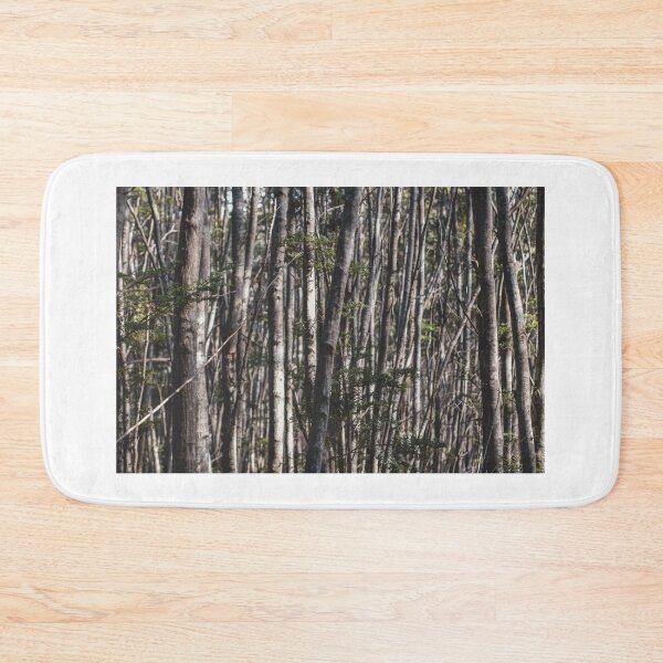 Item preview, Deep in the forest designed and sold by Curious-Camera.