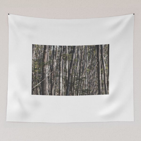 Item preview, Deep in the forest designed and sold by Curious-Camera.