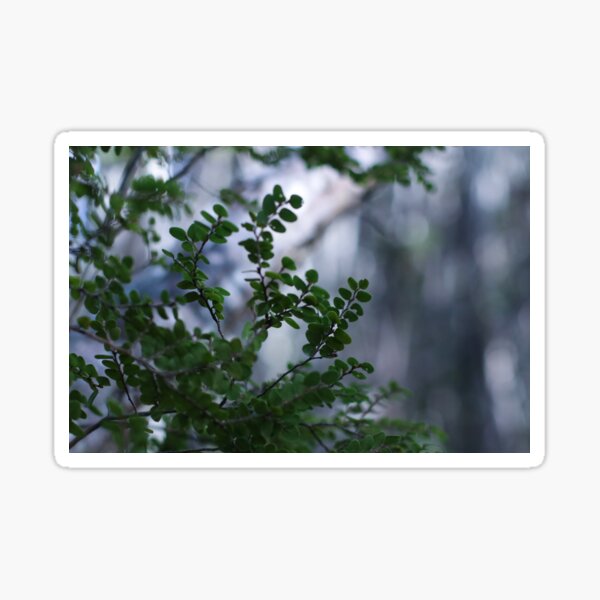 Nature lover Sticker