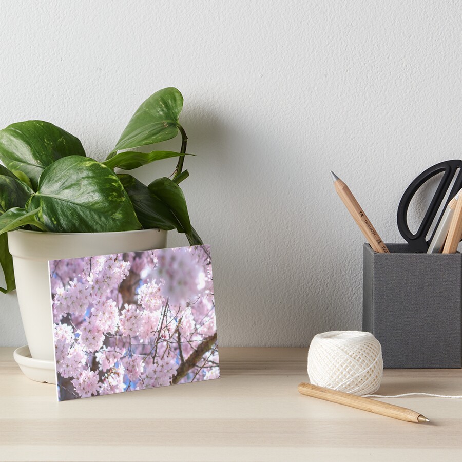 Item preview, Art Board Print designed and sold by Curious-Camera.