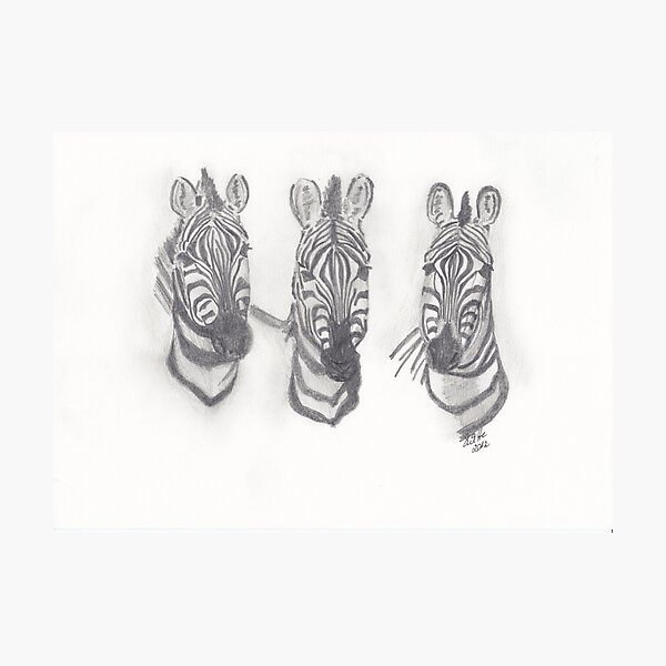 Zebras SiWiDesign Fotodruck