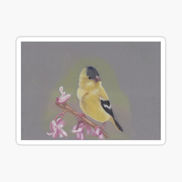 Kleiner Vogelfreund SiWiDesign Sticker