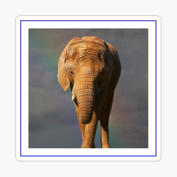 Nellie The Elephant Sticker