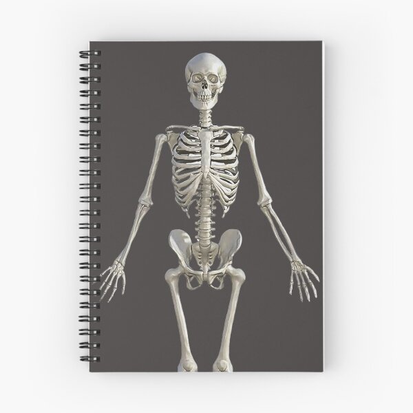 Item preview, skeleton designed and sold by Cylevieart.