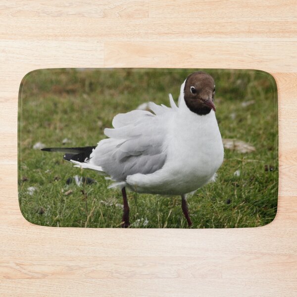 Item preview, Black Headed Gull Ruffled designed and sold by AnnDixon.