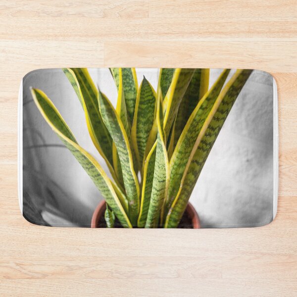 Item preview, House plant with green-yellow leaves designed and sold by iluphoto.