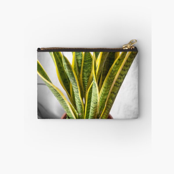 Item preview, House plant with green-yellow leaves designed and sold by iluphoto.
