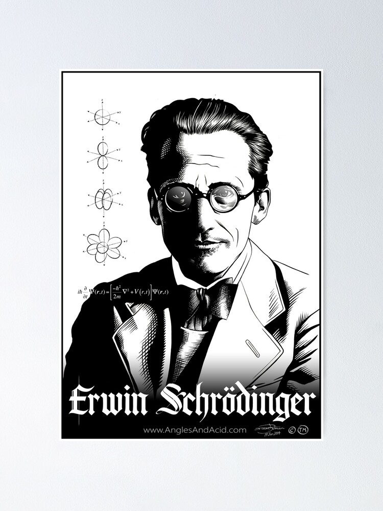 Alternate view of Erwin Schrödinger Poster