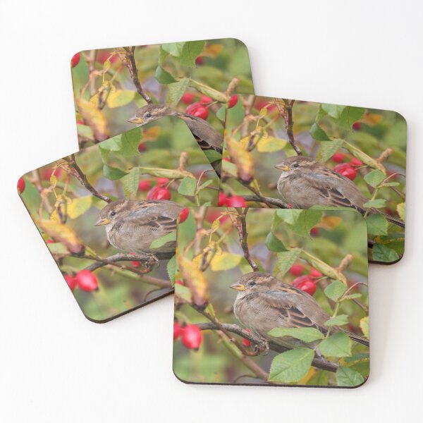 Item preview, Autumnal sparrow designed and sold by GreyFeatherPhot.