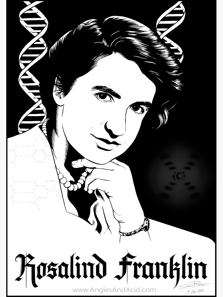 Rosalind Franklin by AnglesAndAcid