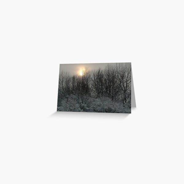 Faint winter sun over the ReedCorner Greeting Card