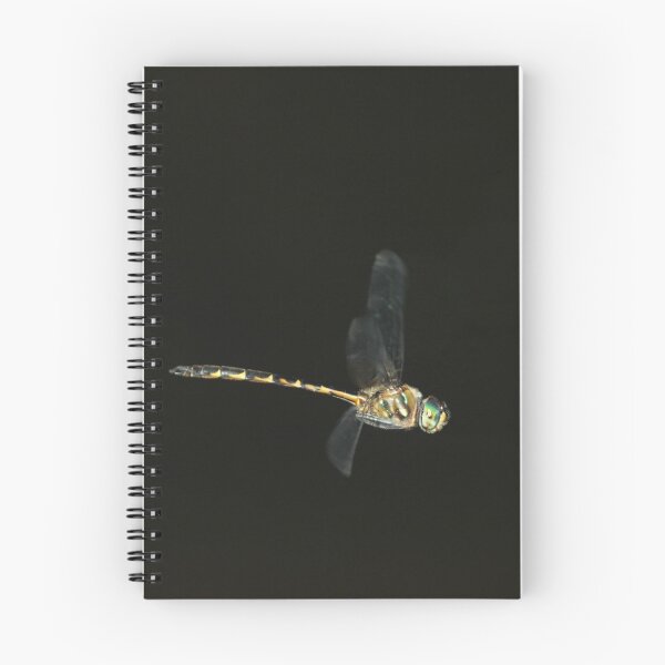 Item preview, Dragonfly 3 designed and sold by Jerry Tingle - photofirst.