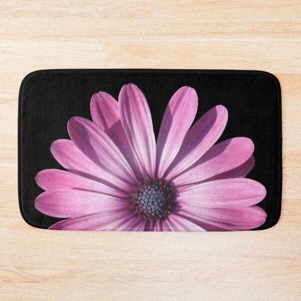 Item preview, Spectacular African Daisy Isolated On Black designed and sold by taiche.