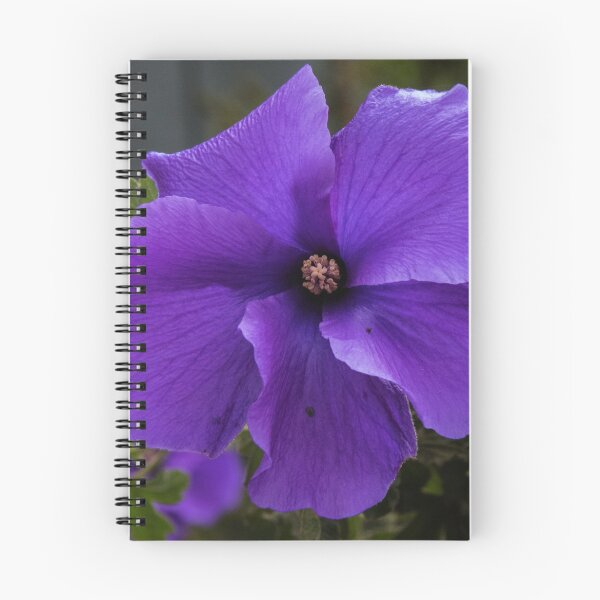Item preview, Native Hibiscus in garden Leith Park 20150824 0173 designed and sold by Fred Mitchell.