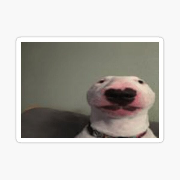 Item preview, Walter The Dog designed and sold by treyo.