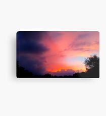Tonight's Stunning Sunset Metal Print