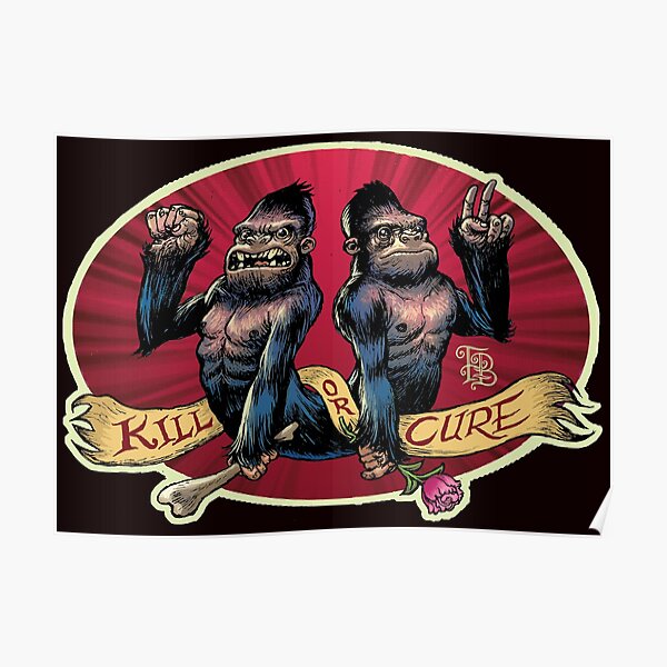 Kill Or Cure Poster