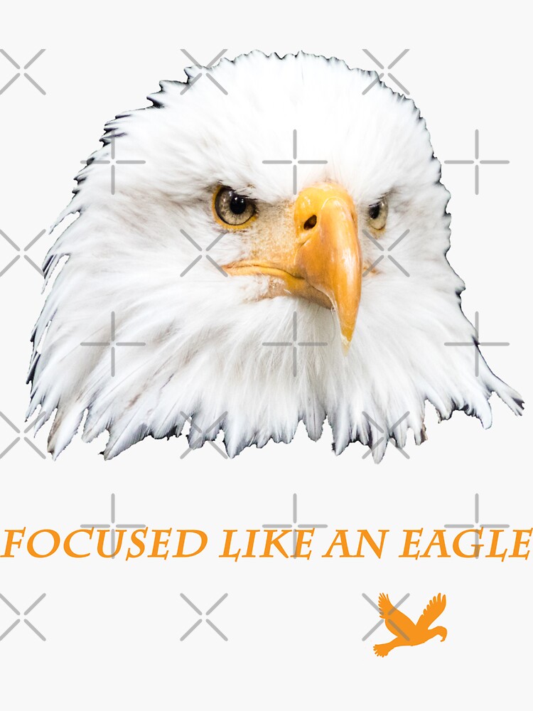 Thumbnail 3 von 3, Sticker, Geschenkidee Weißkopfseeadler fokussiert wie ein Adler designt und verkauft von Igelchen.