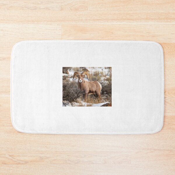 Item preview, Bighorn Sheep designed and sold by Gerard Fornarotto.