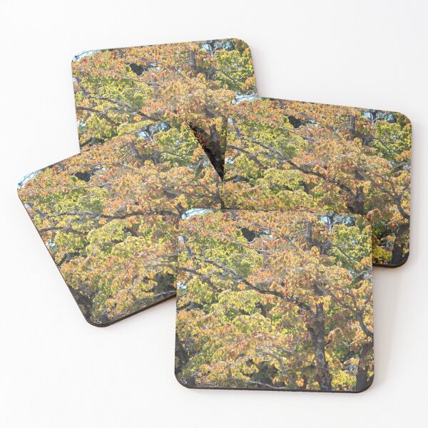 Item preview, Fall Tree Foliage  designed and sold by Cynthia48.