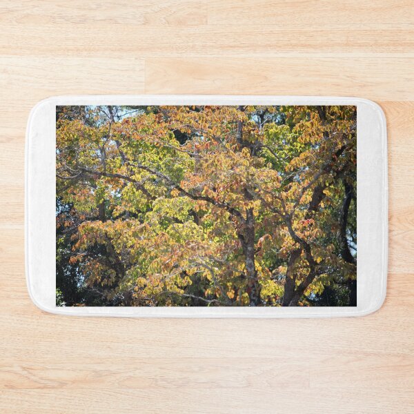 Item preview, Fall Tree Foliage  designed and sold by Cynthia48.