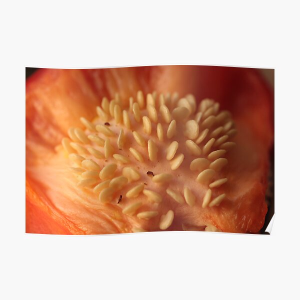 mons fertilis Poster
