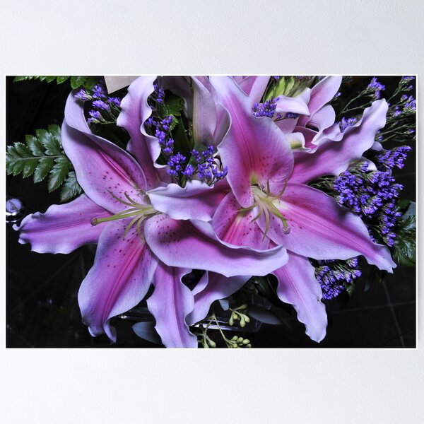 Item preview, we are Star Gazers designed and sold by deville.
