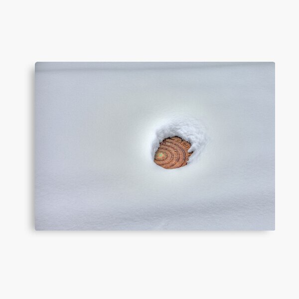 Item preview, Uncovered Cover designed and sold by Bob Vaughan.