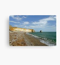 Freshwater Bay Beach Canvas Print