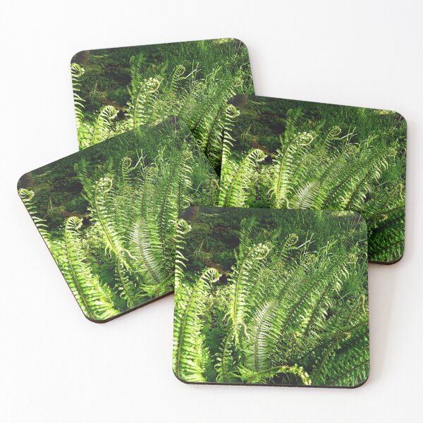 Item preview, SWORD FERNS IN EARLY MORNING LIGHT designed and sold by Elaine Bawden.