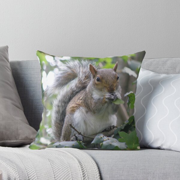 Item preview, Grey Squirrel Eating Sycamore Seeds Photograph designed and sold by naturegallery.