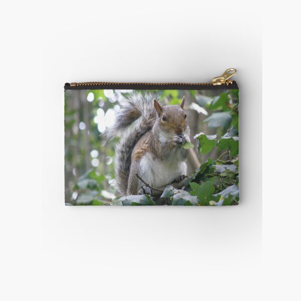 Item preview, Grey Squirrel Eating Sycamore Seeds Photograph designed and sold by naturegallery.