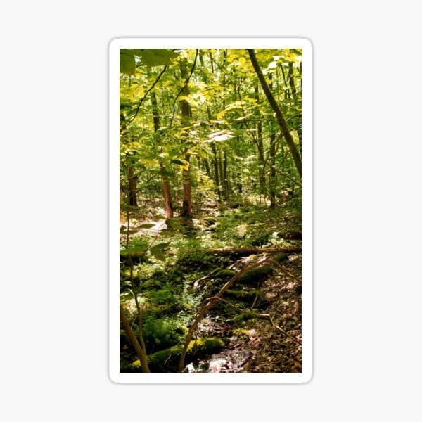 Item preview, Mystical Forest designed and sold by KatScottArt.