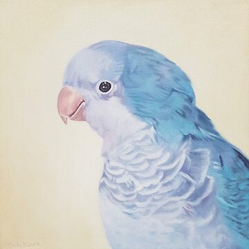 Blue Quaker pet bird portrait painting Art Board Print