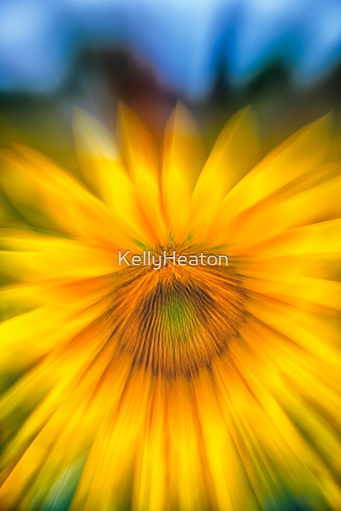 "Sunflower Zoom" by KellyHeaton Redbubble