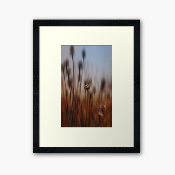 A pod the wind Framed Art Print
