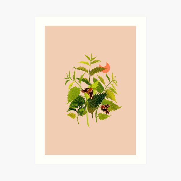 Nettle & Moths Art Print