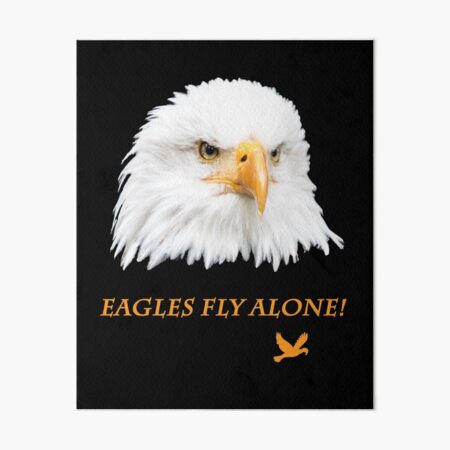 Eagles Fly Alone T-Shirt Inspirational Message With Eagle