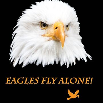 Vorschaubild zum Design Geschenkidee Weißkopfseeadler eagles fly alone von Katja LebenFreude