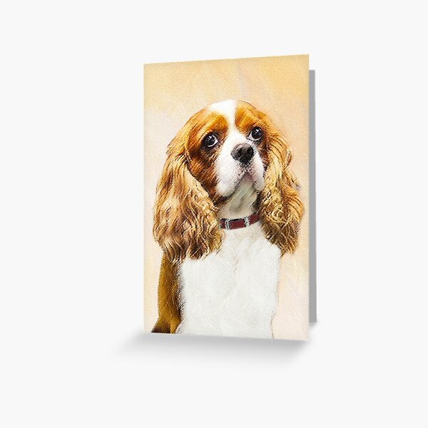 Cavalier King Charles Spaniel Greeting Card