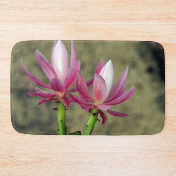 Item preview, Cacti - Magpie Springs - Adelaide Hills Wine Region - Fleurieu Peninsula - South Australia designed and sold by MagpieSprings.