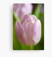 Dreams Canvas Print