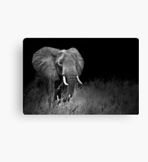 Encounter Canvas Print